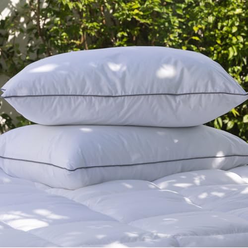 Camesa Travesseiro Toque de Pluma Neo Prime Ecopluma 50x90cm Percal 233 Fios Hotel Antialérgico