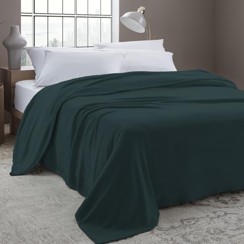 Camesa Cobertor Casal Neo Velour 300g 180x220cm - Verde